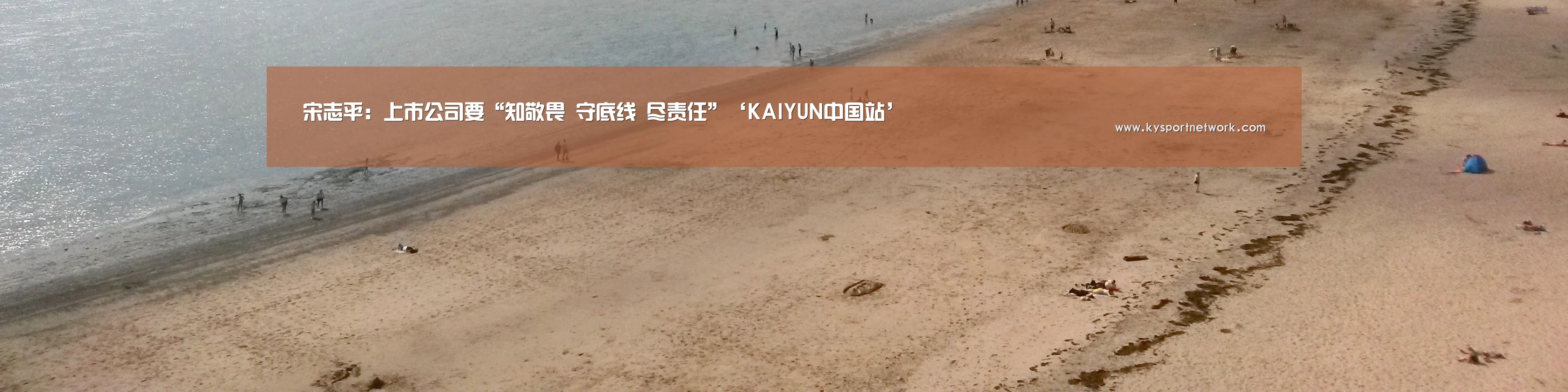 宋志平:上市公司要“知敬畏 守底线 尽责任”‘KAIYUN中国站’(图3) 开云体育入口