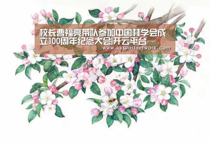 开云体育入口