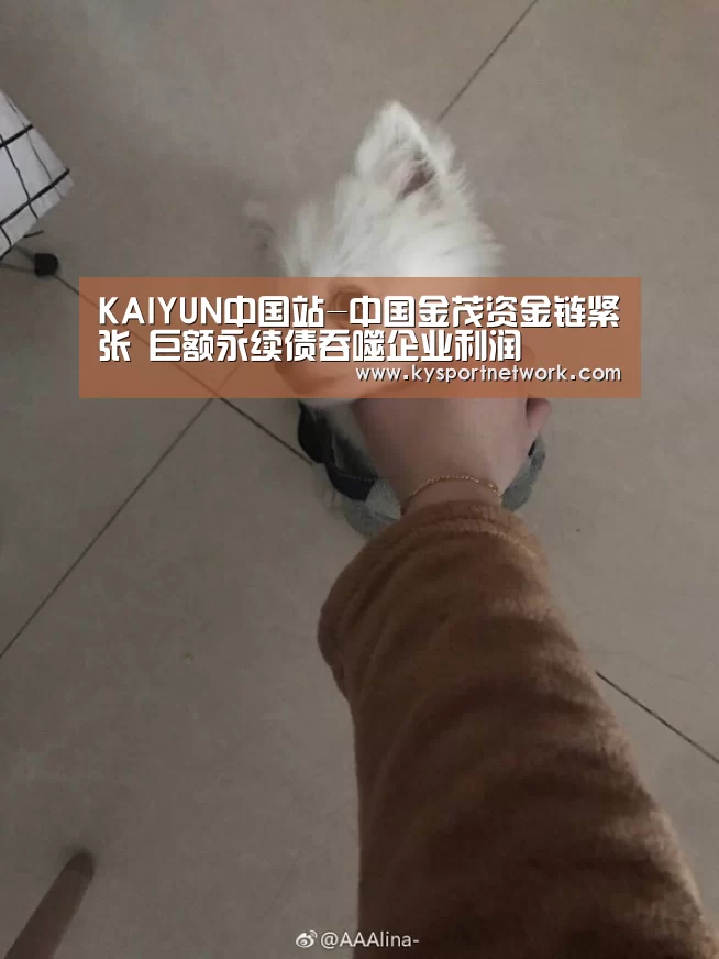 KAIYUN中国站-中国金茂资金链紧张 巨额永续债吞噬企业利润(图2) 开云平台