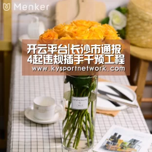 开云体育入口