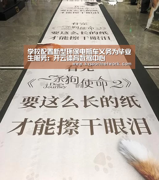 开云体育入口