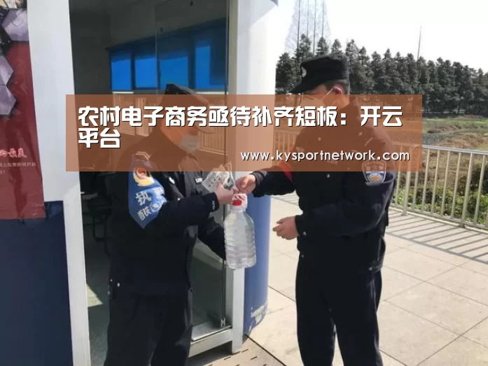 农村电子商务亟待补齐短板:开云平台(图2) 开云体育数据中心