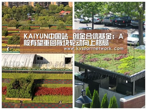 KAIYUN中国站