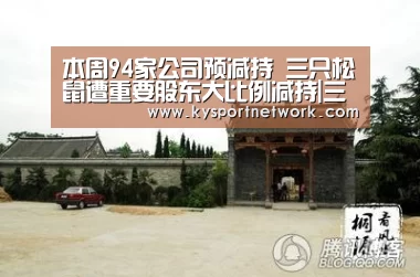 开云体育数据中心