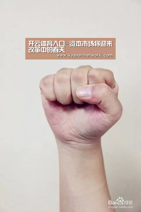 开云平台