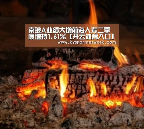 开云体育入口