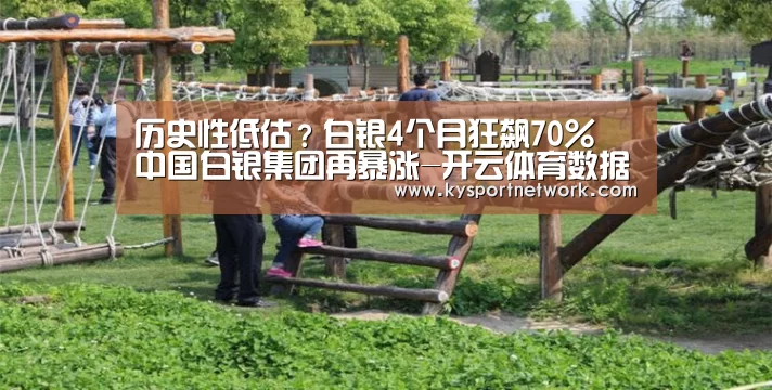 历史性低估?白银4个月狂飙70% 中国白银集团再暴涨-开云体育数据中心(图4) KAIYUN中国站