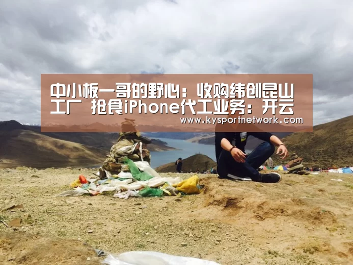 中小板一哥的野心:收购纬创昆山工厂 抢食iPhone代工业务:开云体育数据中心(图2) 开云平台
