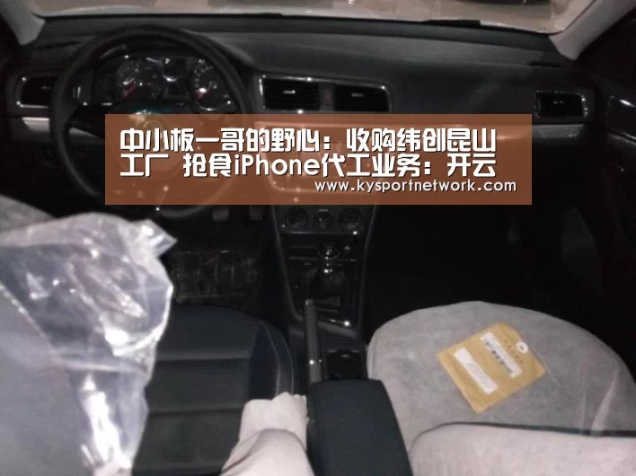 中小板一哥的野心:收购纬创昆山工厂 抢食iPhone代工业务:开云体育数据中心(图4) 开云体育数据中心