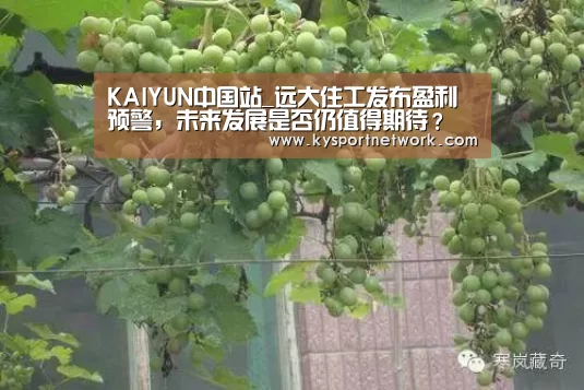 KAIYUN中国站_远大住工发布盈利预警,未来发展是否仍值得期待?(图4) 开云体育入口