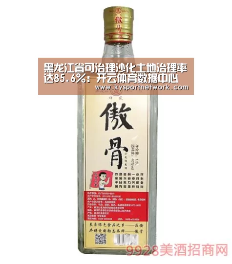 开云平台